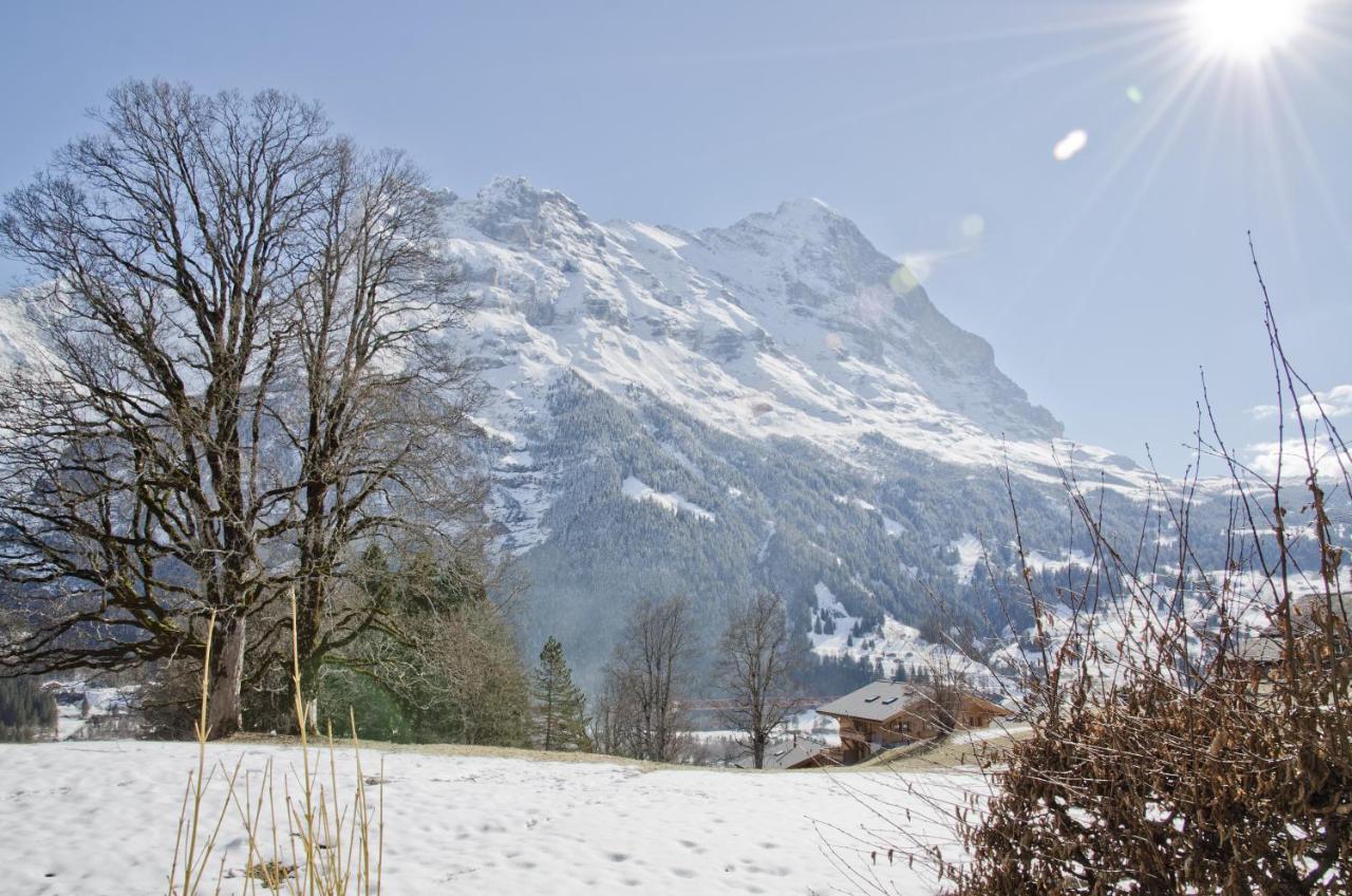 Apartment Nussbaum - Griwa Rent Ag Grindelwald Buitenkant foto